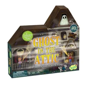 Ghost in the Attic