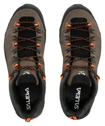 Salewa Alp Trainer 2 Gore-Tex Hiking Shoes Brown/Black