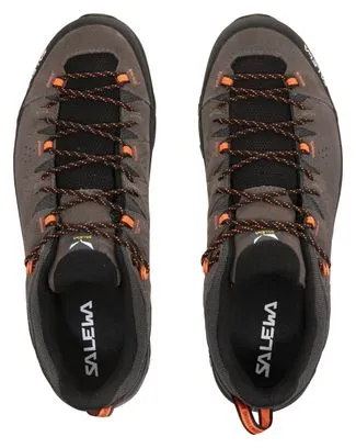 Salewa Alp Trainer 2 Hiking Shoes Brown