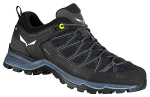 Salewa Mountain Trainer Lite Gore-Tex Hiking Shoes Black